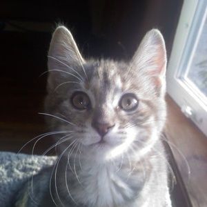 Meet your Posher, Lori